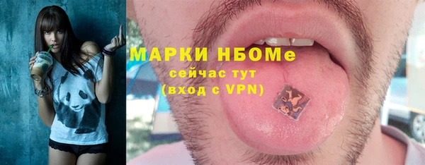 ПСИЛОЦИБИНОВЫЕ ГРИБЫ Ельня