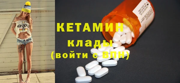 индика Елизово