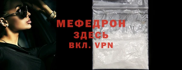 индика Елизово