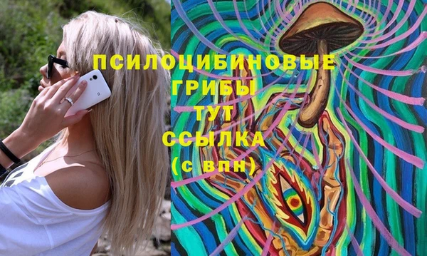 ПСИЛОЦИБИНОВЫЕ ГРИБЫ Ельня