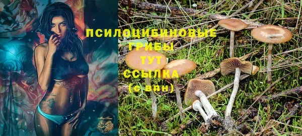 ПСИЛОЦИБИНОВЫЕ ГРИБЫ Ельня