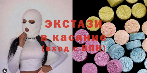индика Елизово