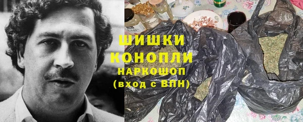 индика Елизово