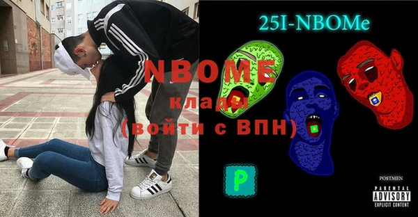 индика Елизово