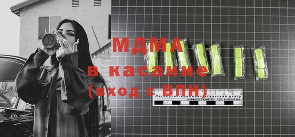 индика Елизово