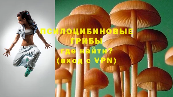 индика Елизово