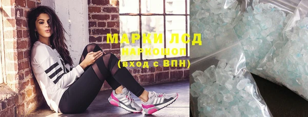 ПСИЛОЦИБИНОВЫЕ ГРИБЫ Ельня